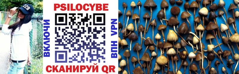 Псилоцибиновые грибы прущие грибы  Чапаевск 