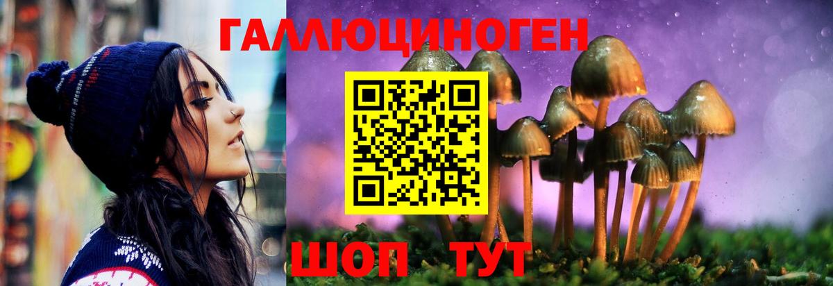Псилоцибиновые грибы мицелий Чапаевск